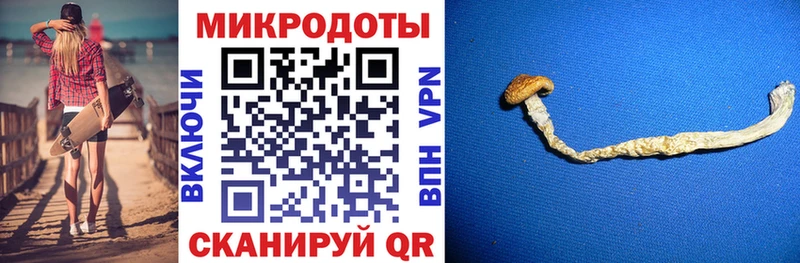 купить наркотик Спас-Клепики Галлюциногенные грибы Cubensis